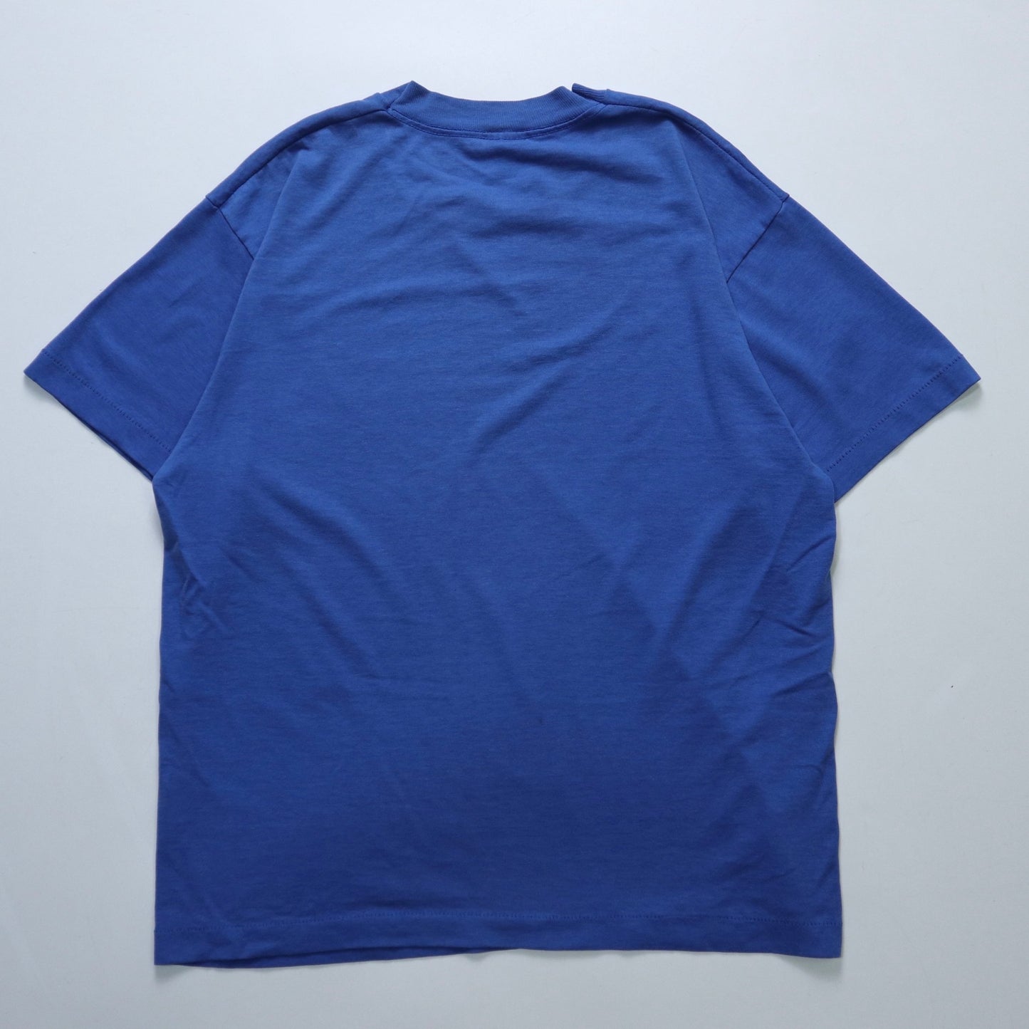 80 - 90s Screen Stars Best 美國製 健身男子藍色膠印tee - 富士鳥古著