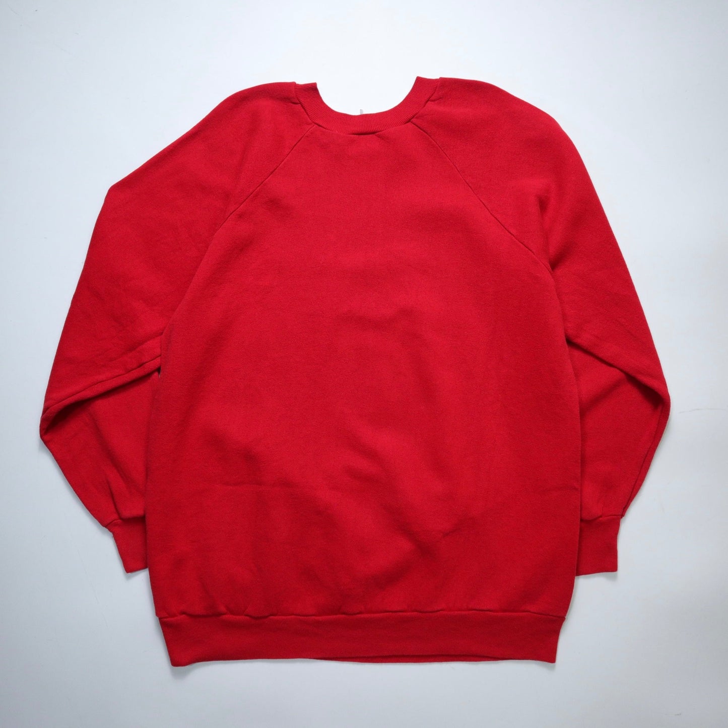 80 - 90s 美國製 沙發馬鈴薯膠印大學T 古著衛衣 - 富士鳥古著