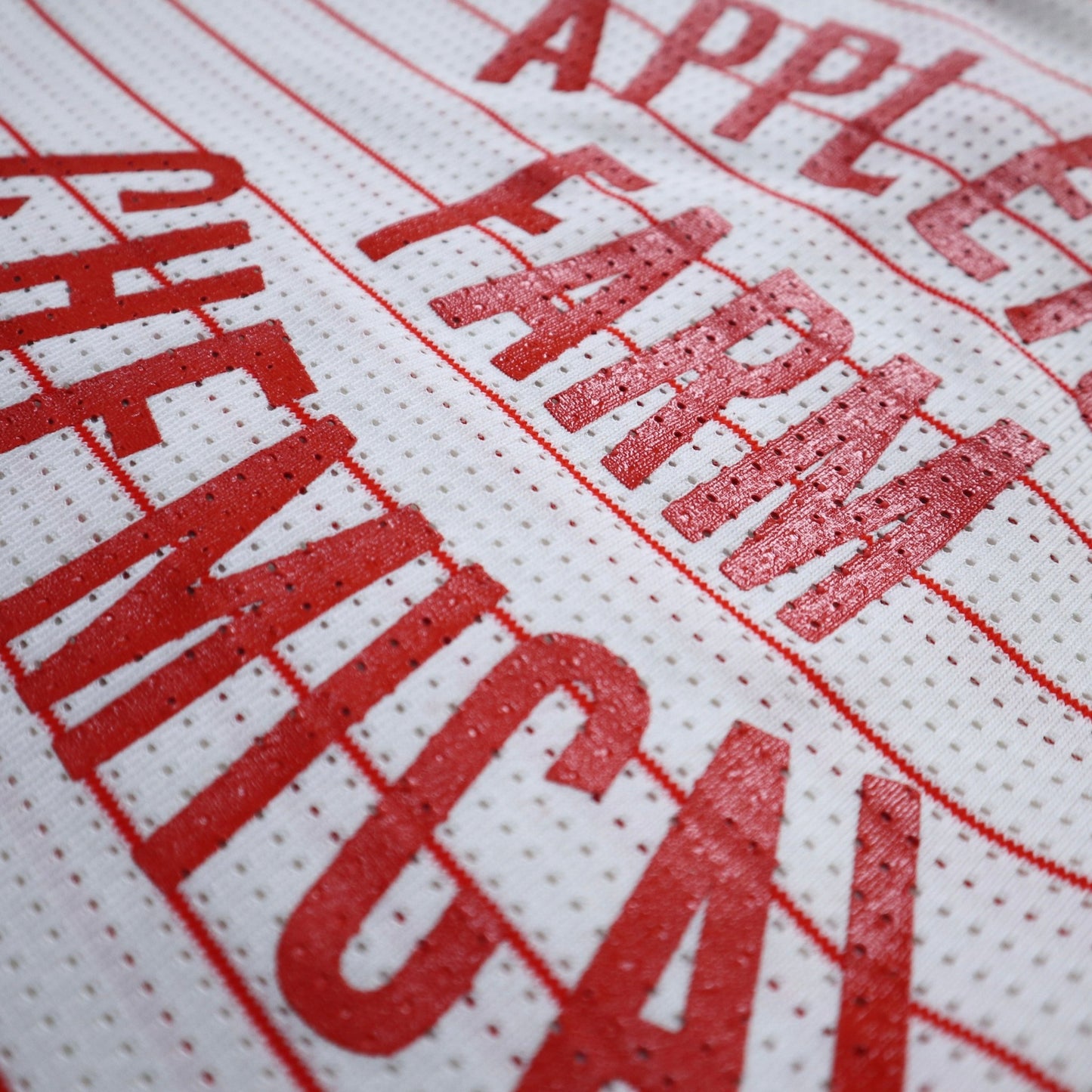 80s APPLETON FARM CHEMICAL 橘白色條紋 網洞T-Shirt - 富士鳥古著