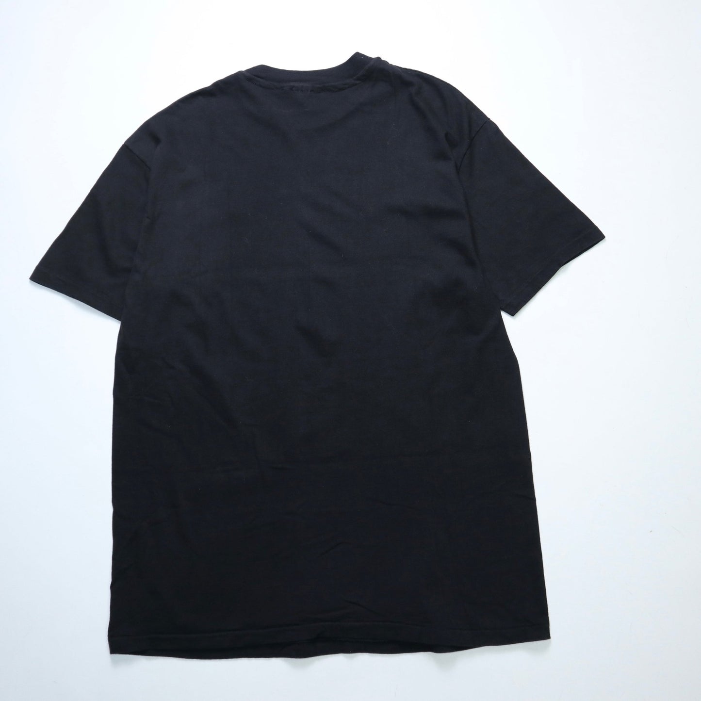 80s Hanes 美國製 華盛頓手繪風地標紀念Tee/發泡印 - 富士鳥古著