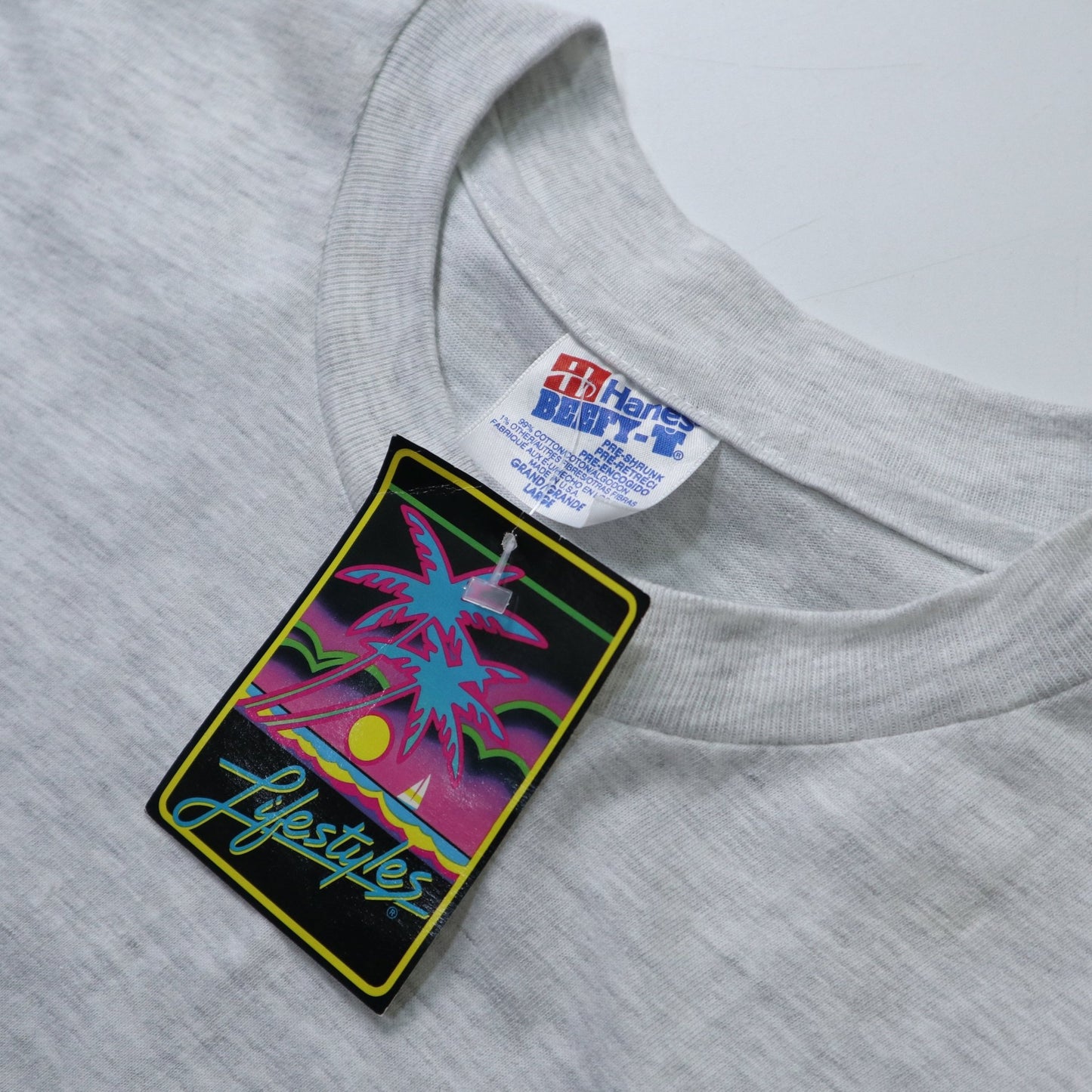 90s Hanes 美國製 密西根州Alpena卡通豬tee*庫存新品 - 富士鳥古著