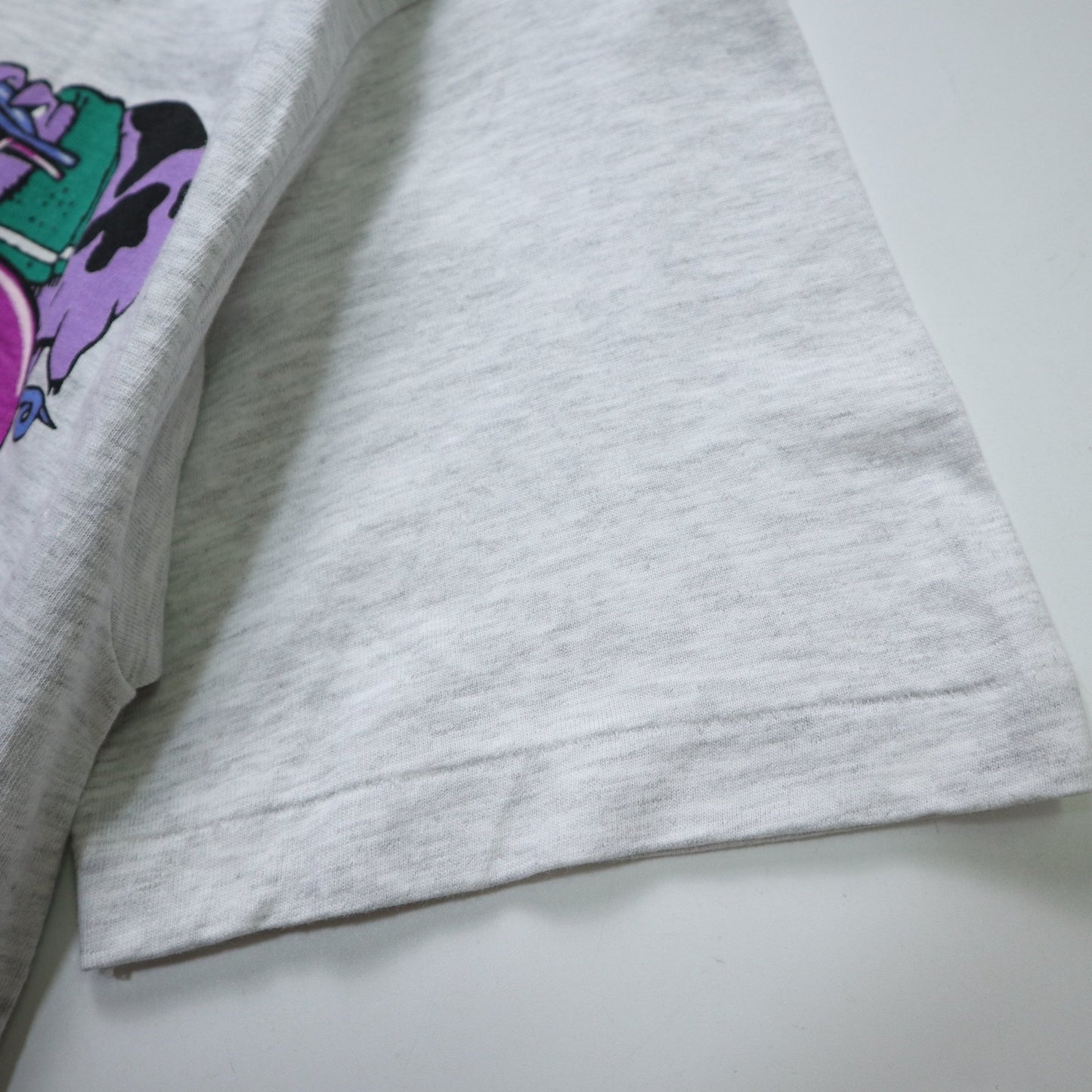90s Hanes 美國製 密西根州Alpena卡通豬tee*庫存新品 - 富士鳥古著