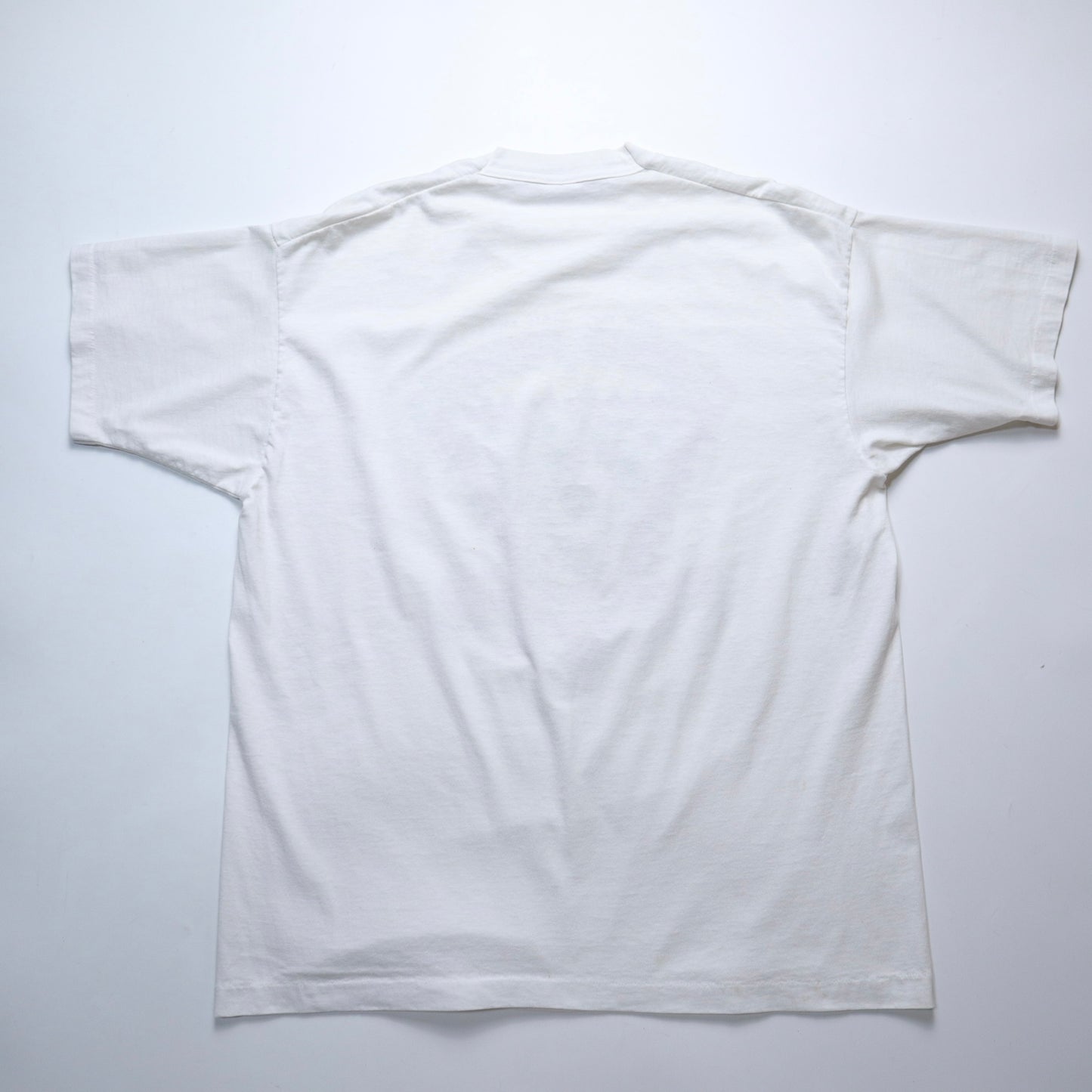 1996年 アメリカ製 ニューヨーク スイミングTシャツ