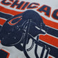 90s American made fruit brand Chicago Bears American football sweatshirt