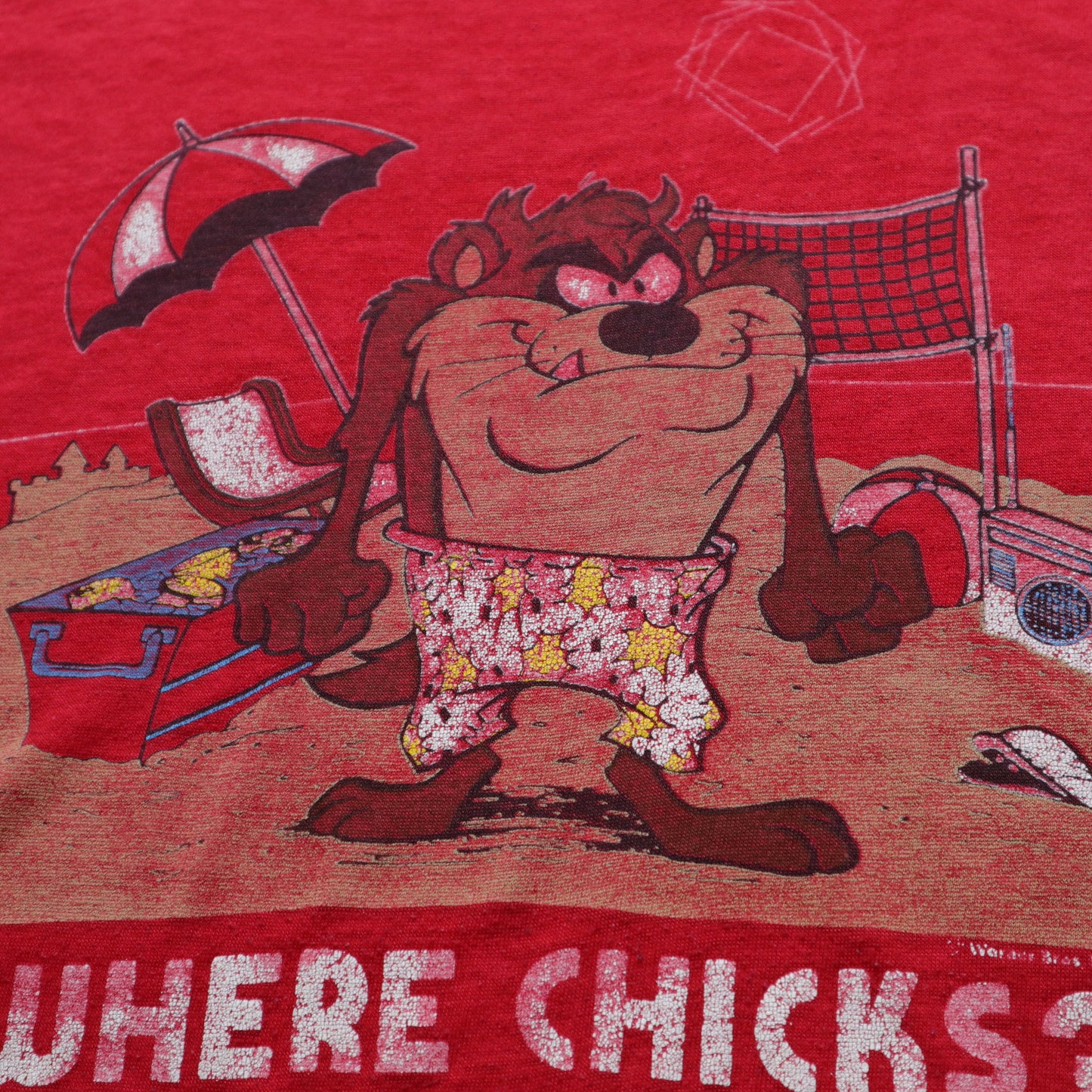 80年代 アメリカ製 ワーナーブラザーズ タズ フロリダビーチバレーボールTシャツ