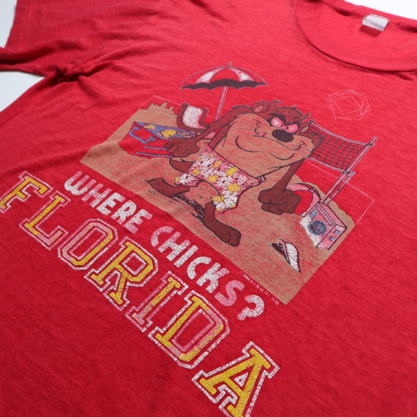 80年代 アメリカ製 ワーナーブラザーズ タズ フロリダビーチバレーボールTシャツ