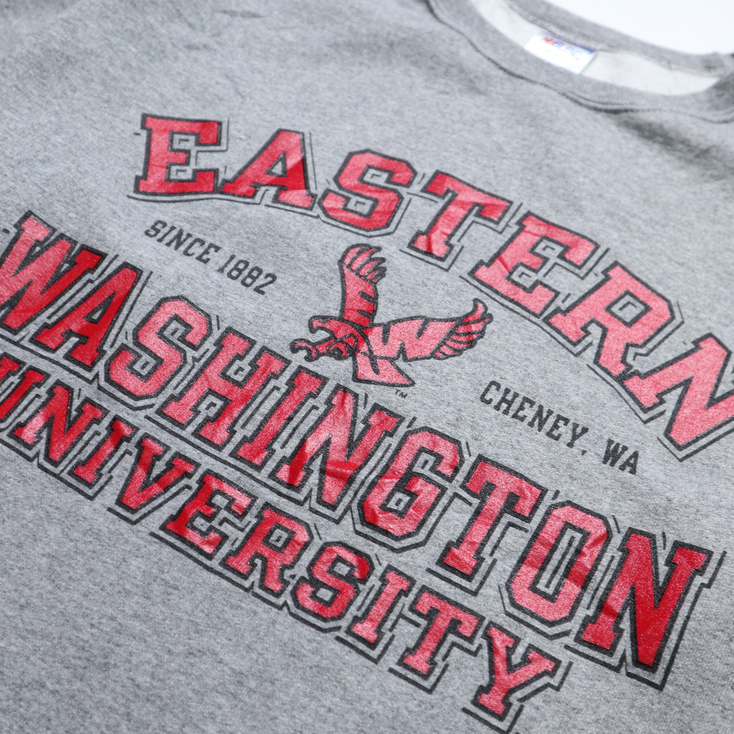 University of Washington offset sweater University T vintage sweater light inner bristles