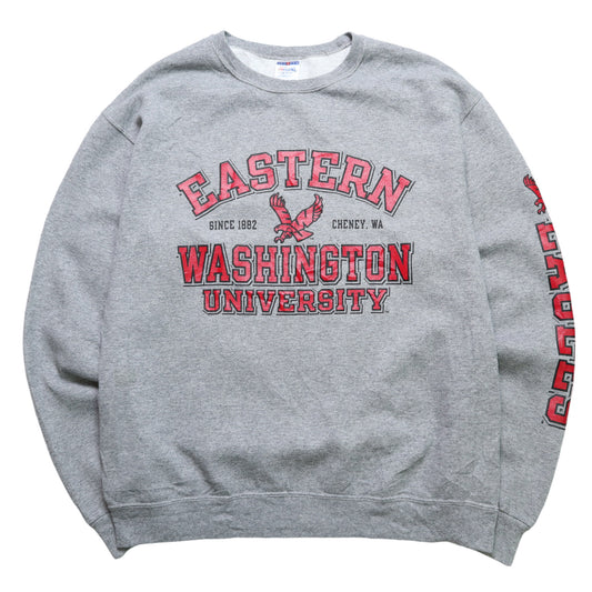 University of Washington offset sweater University T vintage sweater light inner bristles